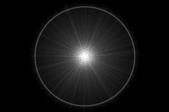 Hibiscus Image