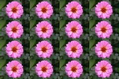 TileImageFilter